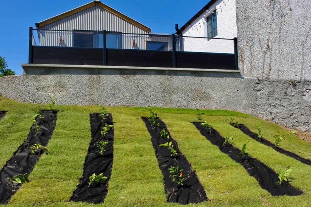 The Hideaway Portaferry Daire Dış mekan fotoğraf